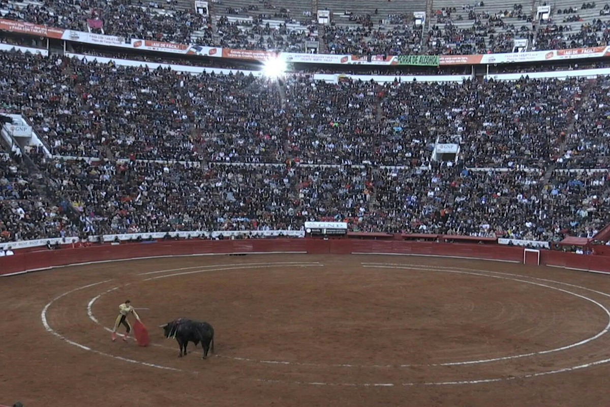 Juez suspende provisionalmente las corridas de toros en la Plaza México ¿Será su fin?