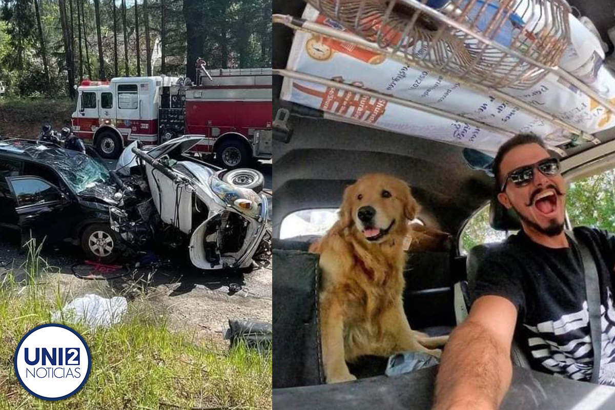 Trágico final… muere influencer que viajaba con su perro por América en accidente automovilístico